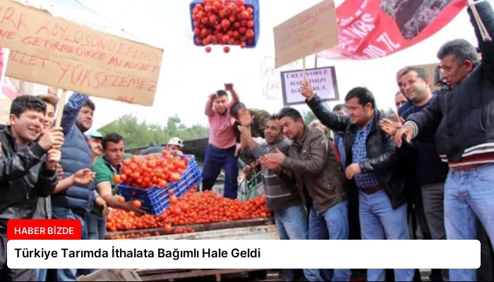 Türkiye Tarımda İthalata Bağımlı Hale Geldi