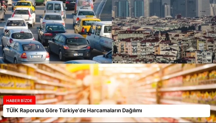 TÜİK Raporuna Göre Türkiye’de Harcamaların Dağılımı