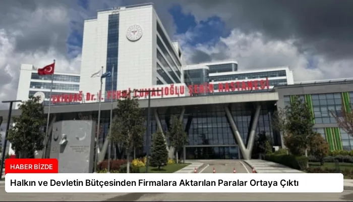 Halkın ve Devletin Bütçesinden Firmalara Aktarılan Paralar Ortaya Çıktı