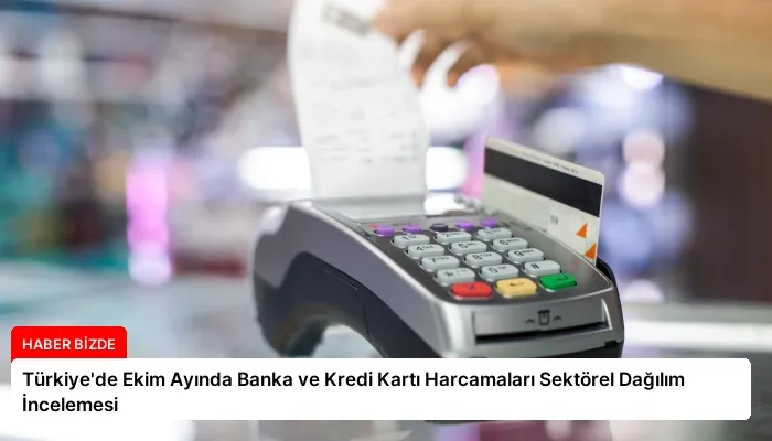 Türkiye’de Ekim Ayında Banka ve Kredi Kartı Harcamaları Sektörel Dağılım İncelemesi