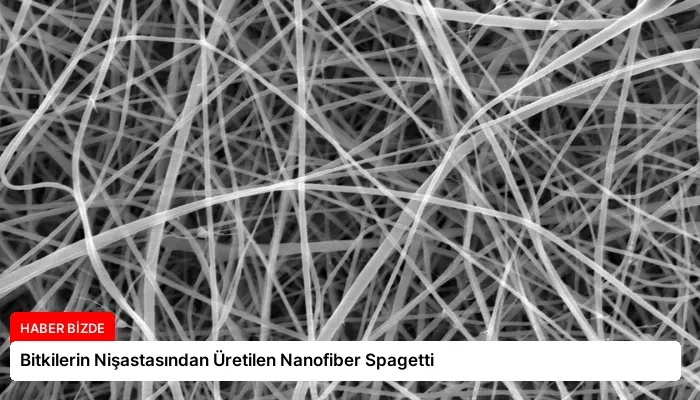 Bitkilerin Nişastasından Üretilen Nanofiber Spagetti