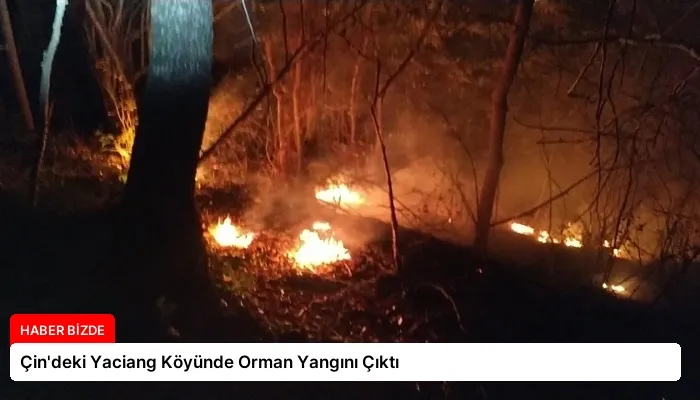 Çin’deki Yaciang Köyünde Orman Yangını Çıktı