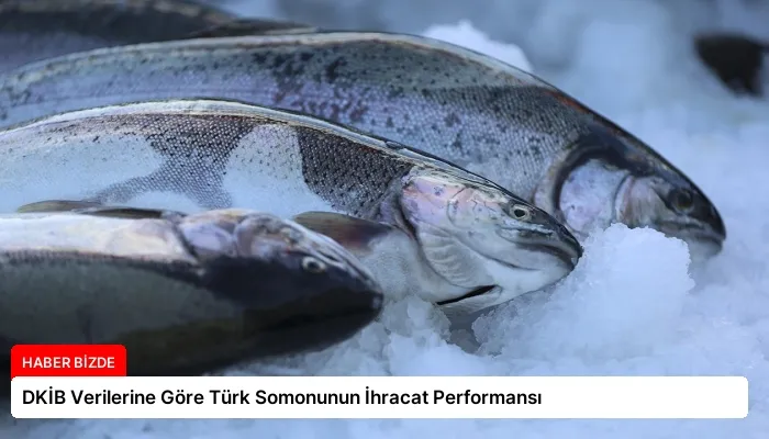 DKİB Verilerine Göre Türk Somonunun İhracat Performansı