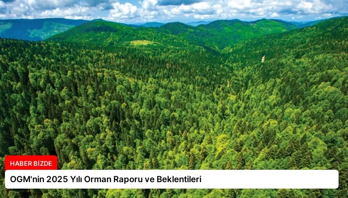 OGM’nin 2025 Yılı Orman Raporu ve Beklentileri