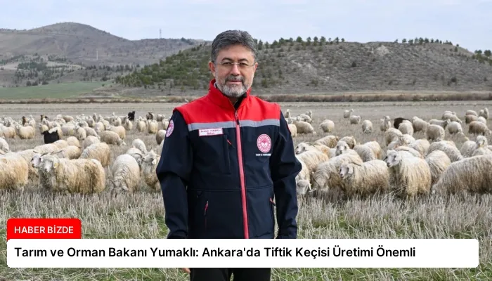 Tarım ve Orman Bakanı Yumaklı: Ankara’da Tiftik Keçisi Üretimi Önemli