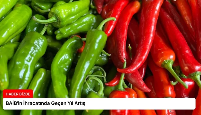 BAİB’in İhracatında Geçen Yıl Artış