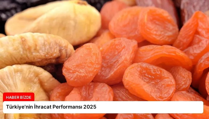 Türkiye’nin İhracat Performansı 2025