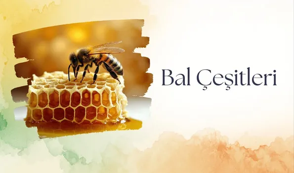 Doğal Tatların Vazgeçilmezi Bal