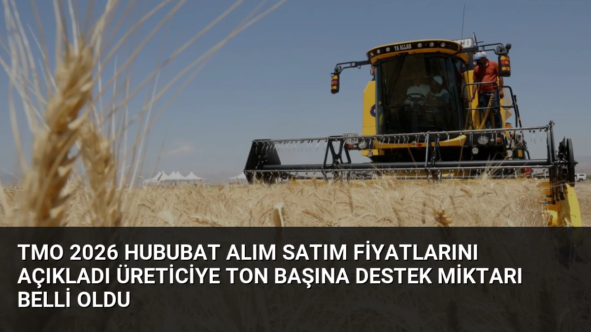 TMO 2026 Hububat Alım Satım Fiyatlarını Açıkladı Üreticiye Ton Başına Destek Miktarı Belli Oldu