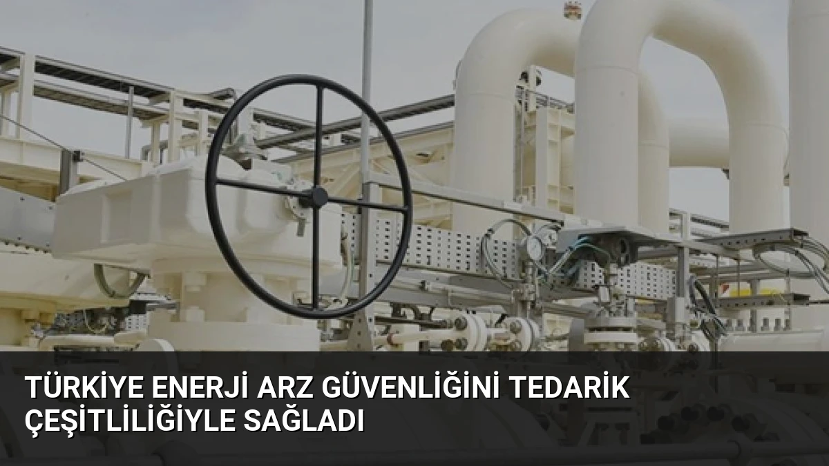 Türkiye Enerji Arz Güvenliğini Tedarik Çeşitliliğiyle Sağladı
