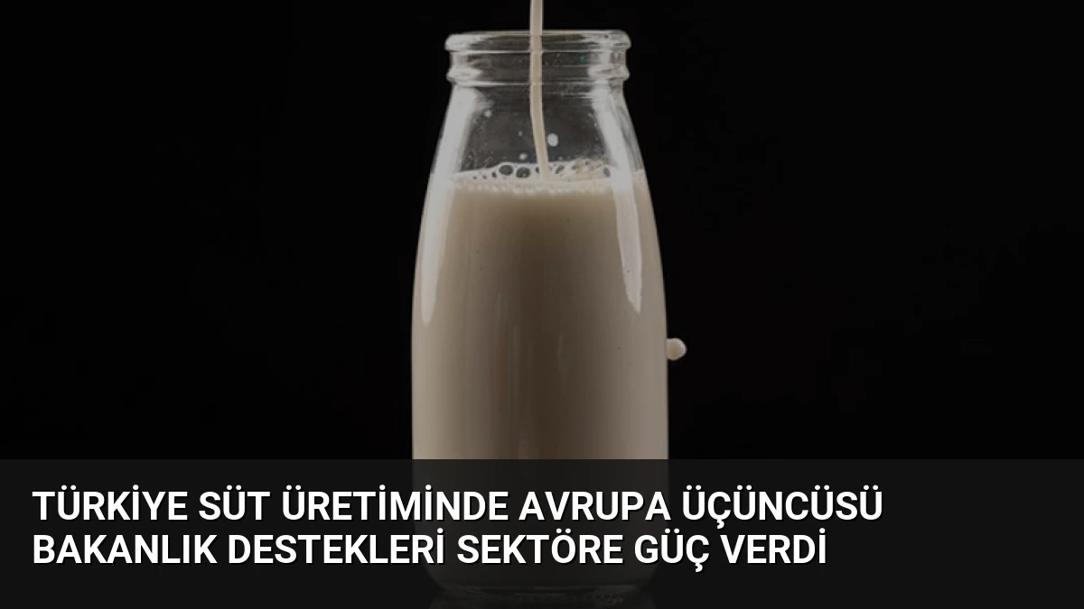 Türkiye Süt Üretiminde Avrupa Üçüncüsü Bakanlık Destekleri Sektöre Güç Verdi