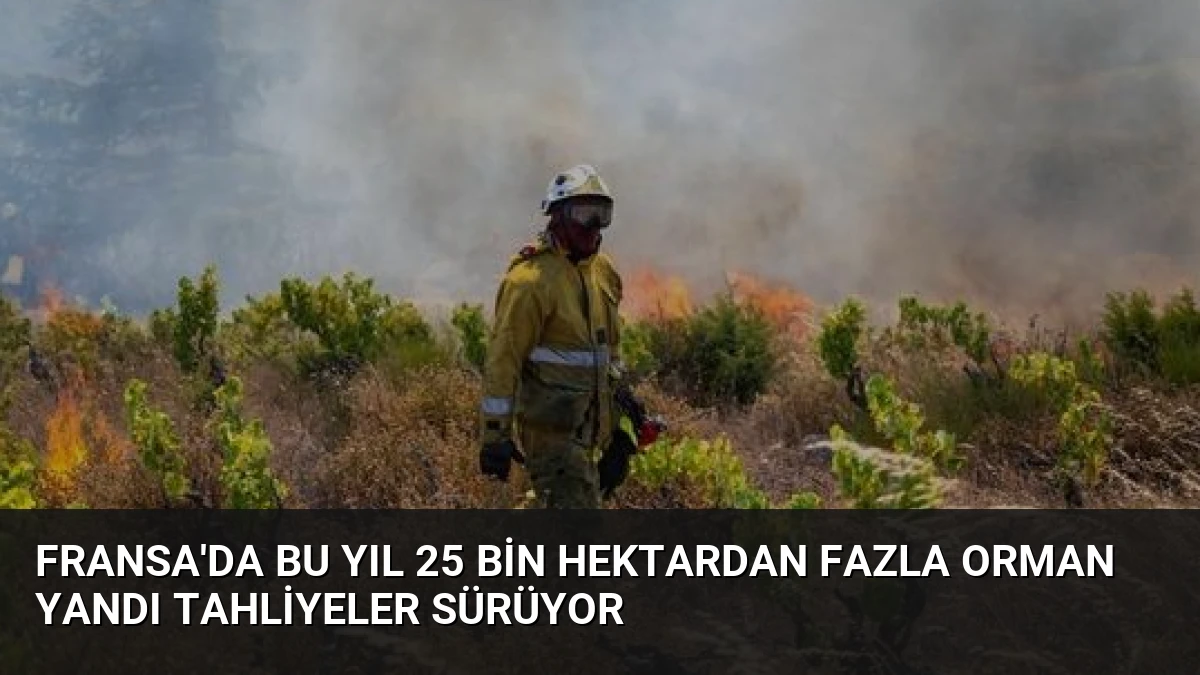 Fransa’da Bu Yıl 25 Bin Hektardan Fazla Orman Yandı Tahliyeler Sürüyor