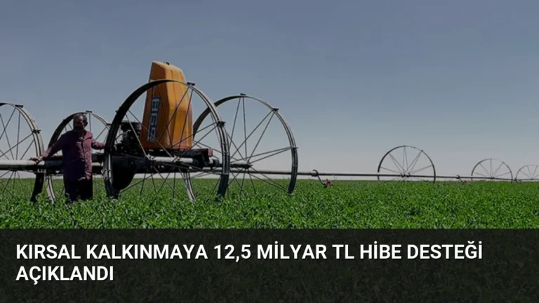 Kırsal Kalkınmaya 12,5 Milyar TL Hibe Desteği Açıklandı