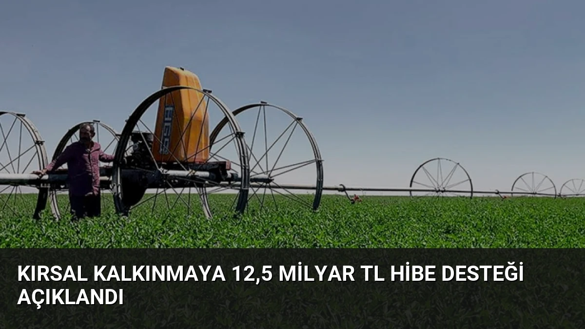 Kırsal Kalkınmaya 12,5 Milyar TL Hibe Desteği Açıklandı