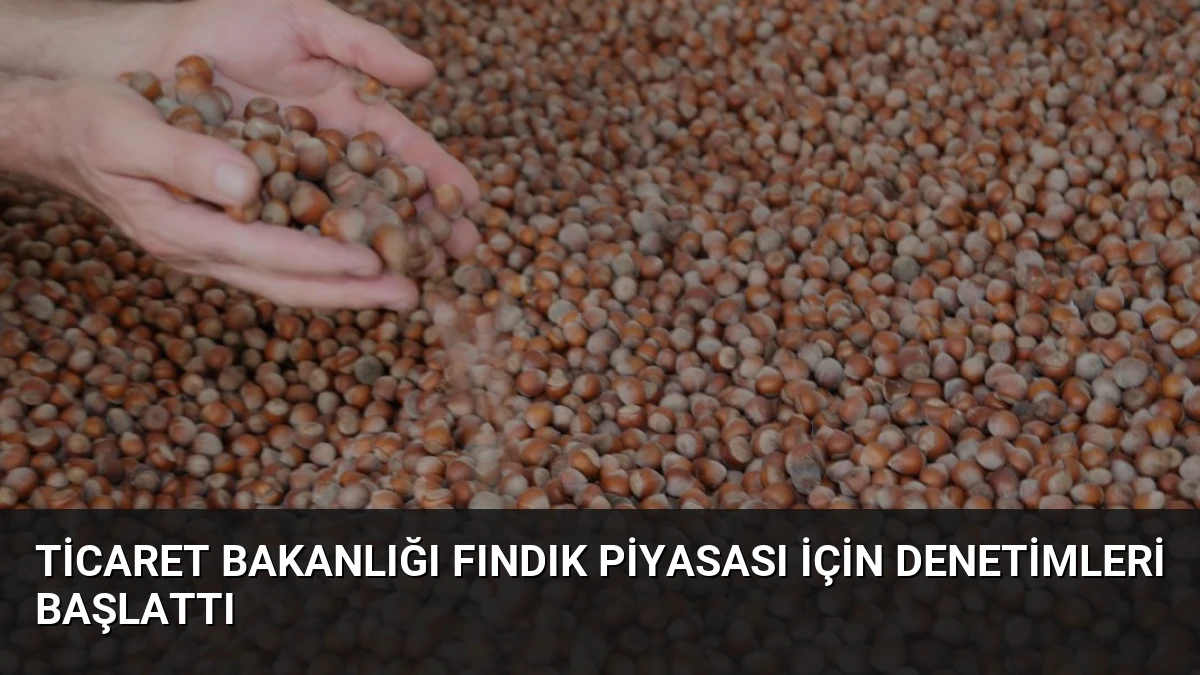 Ticaret Bakanlığı Fındık Piyasası İçin Denetimleri Başlattı