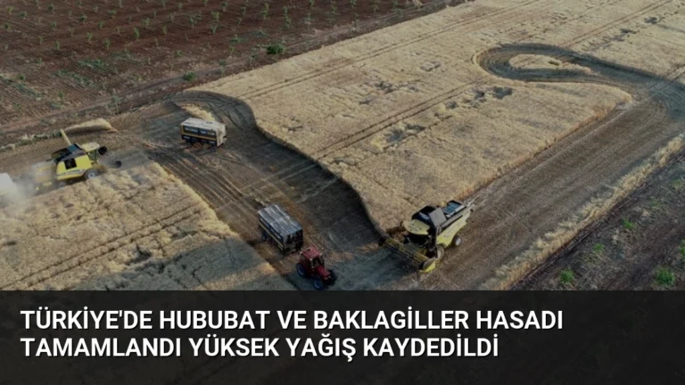Türkiye’de Hububat ve Baklagiller Hasadı Tamamlandı Yüksek Yağış Kaydedildi