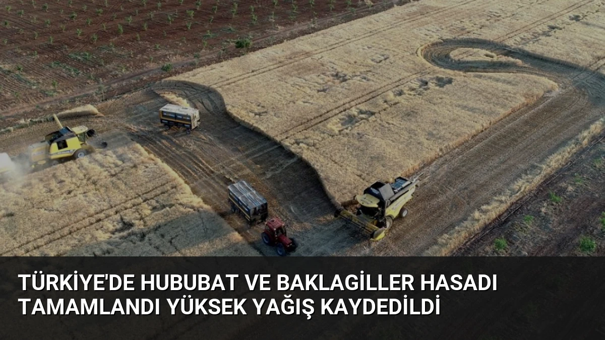 Türkiye’de Hububat ve Baklagiller Hasadı Tamamlandı Yüksek Yağış Kaydedildi