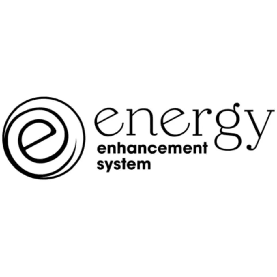Nevada Mahkemesi Kısıtlamayı Kaldırarak EESystem’in Kasım 2024 Toplantısının Kaydını Paylaşmasının Önünü Açtı