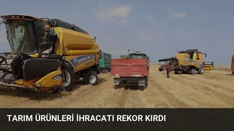 Tarım Ürünleri İhracatı Rekor Kırdı
