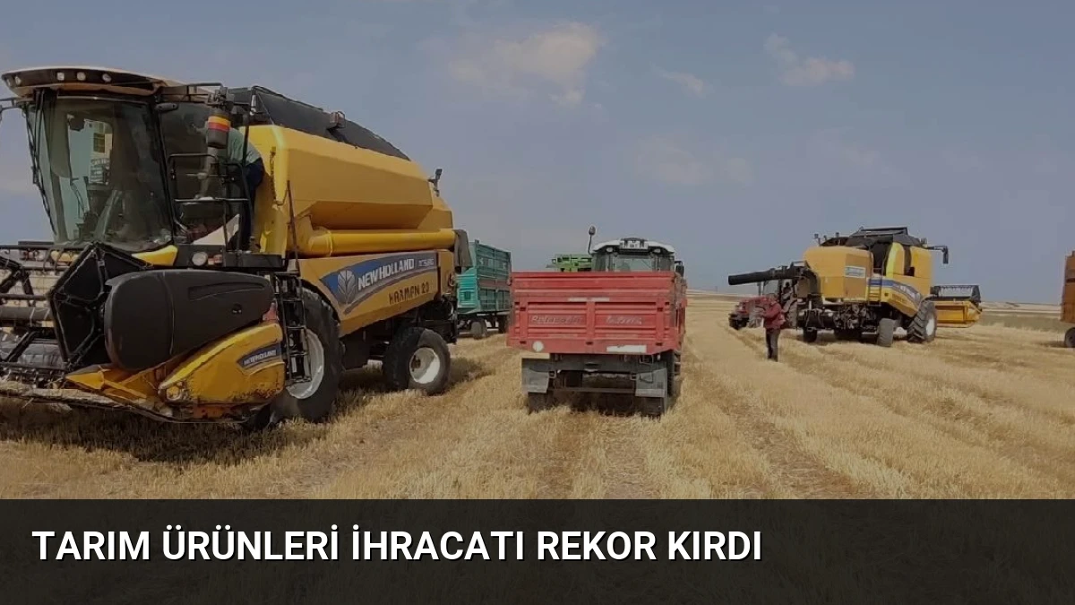 Tarım Ürünleri İhracatı Rekor Kırdı